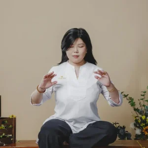 Twin Heart Meditation